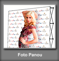 Foto-Panou-ro